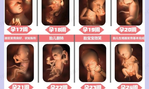 怀孕结膜炎可以不用药吗-怀孕结膜炎可以不用药吗网 - 怀孕结膜炎可以不用药吗怎么治疗,怀孕结膜炎可以用什么眼药水