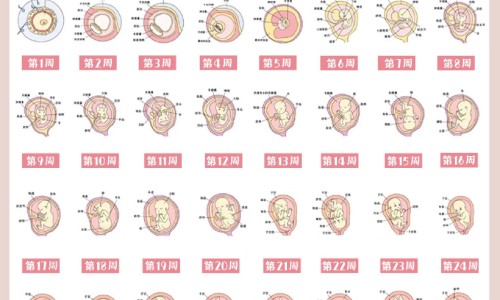 怀孕结膜炎可以不用药吗网 - 怀孕结膜炎可以不用药吗怎么治疗,怀孕结膜炎可以用什么眼药水