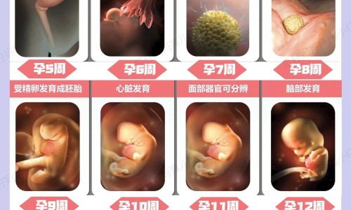 怀孕结膜炎可以不用药吗网 - 怀孕结膜炎可以不用药吗怎么治疗,怀孕结膜炎可以用什么眼药水